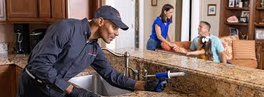 Best Real Estate Pest Inspections  in Cnelius, OR